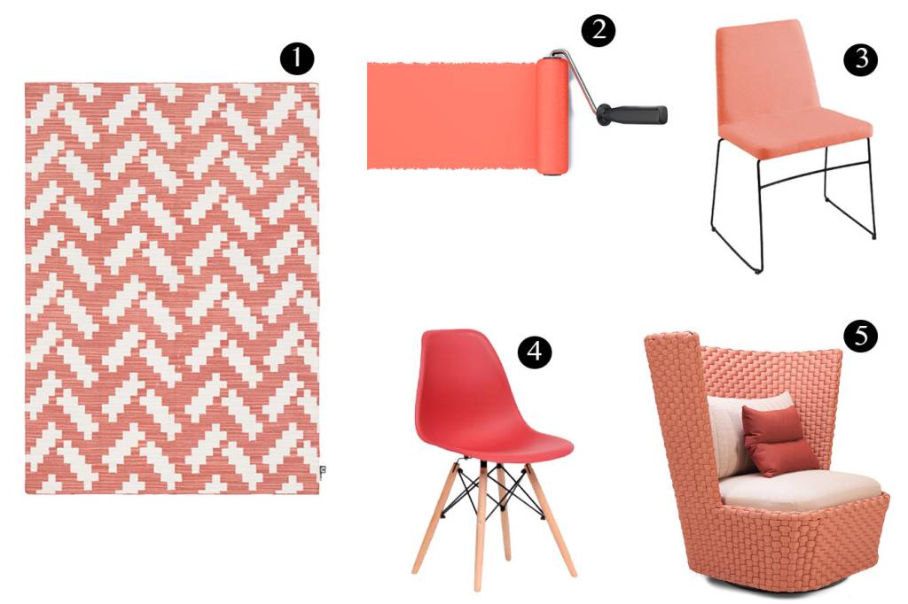 Coral—Decor Coral—Decor