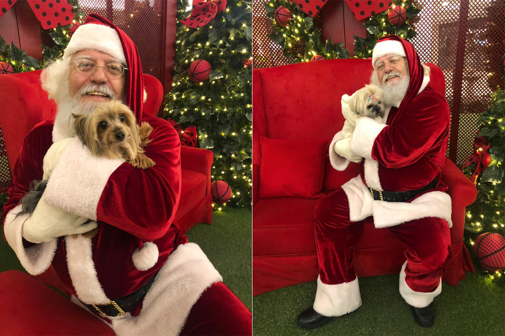 papai-noel-pet-shopping-abc