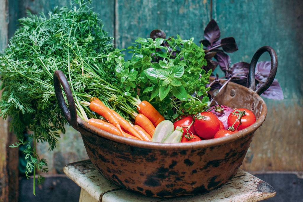 Da roça à mesa: Grecco Bar investe em ingredientes de pequenos produtores