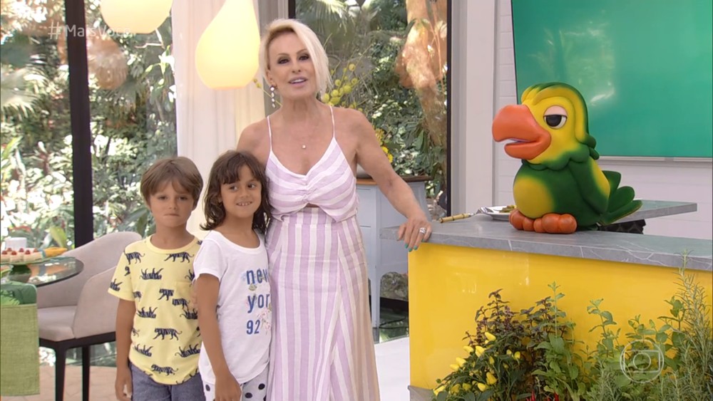 ana maria braga ana maria braga