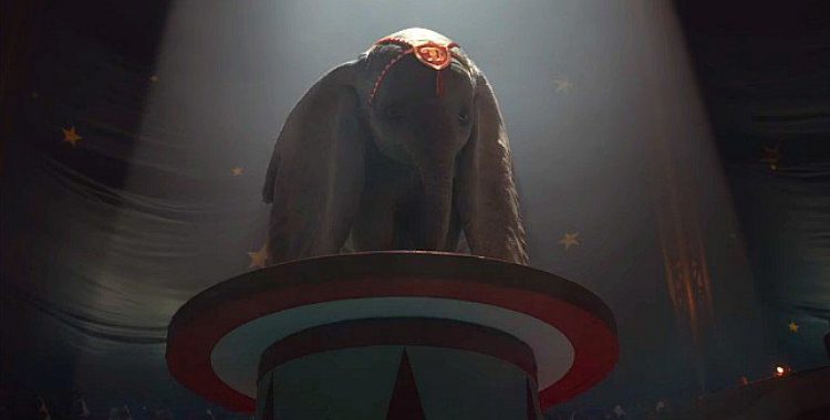 dumbo dumbo