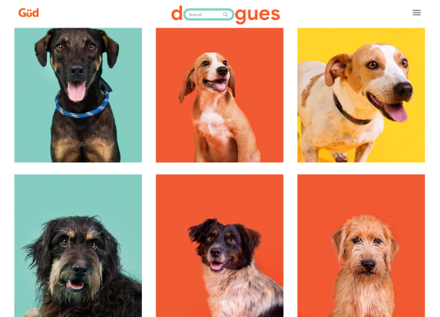 Página que contém os outros cãezinhos que podem ser adotados Página que contém os outros cãezinhos que podem ser adotados