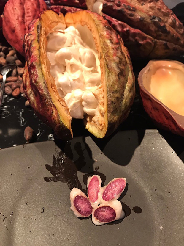 rubi-chocolate-rosa rubi-chocolate-rosa