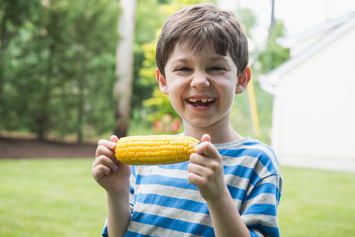 Caucasian boy eating corn on the cob