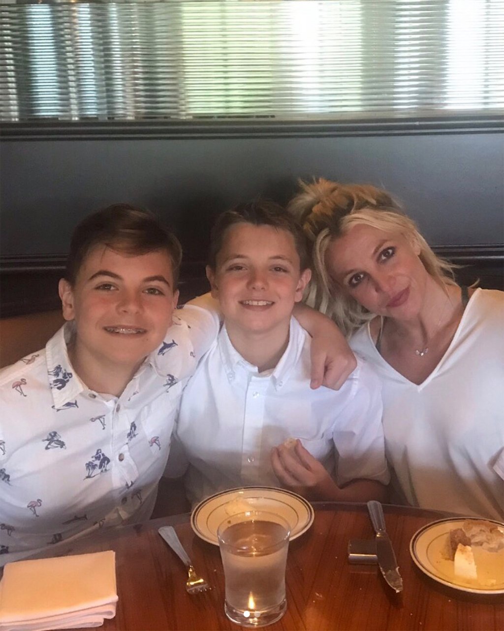 Filhos de Britney Spears