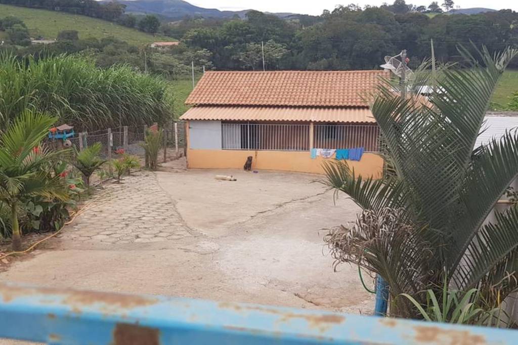 cao-2 Cachorro de plástico