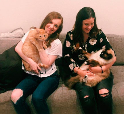 maes-gatinhos maes-gatinhos