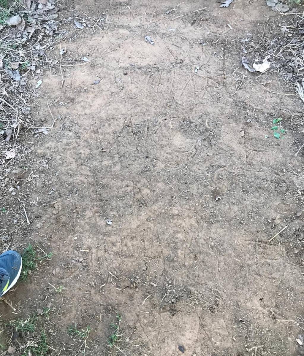 Mensagem escrita na terra pelo filho que matou a mãe e o padrasto Mensagem escrita na terra pelo filho que matou a mãe e o padrasto