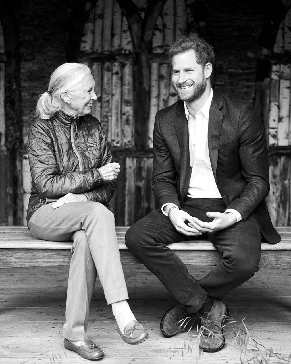 Harry em entrevista com a cientista Jane Goodall