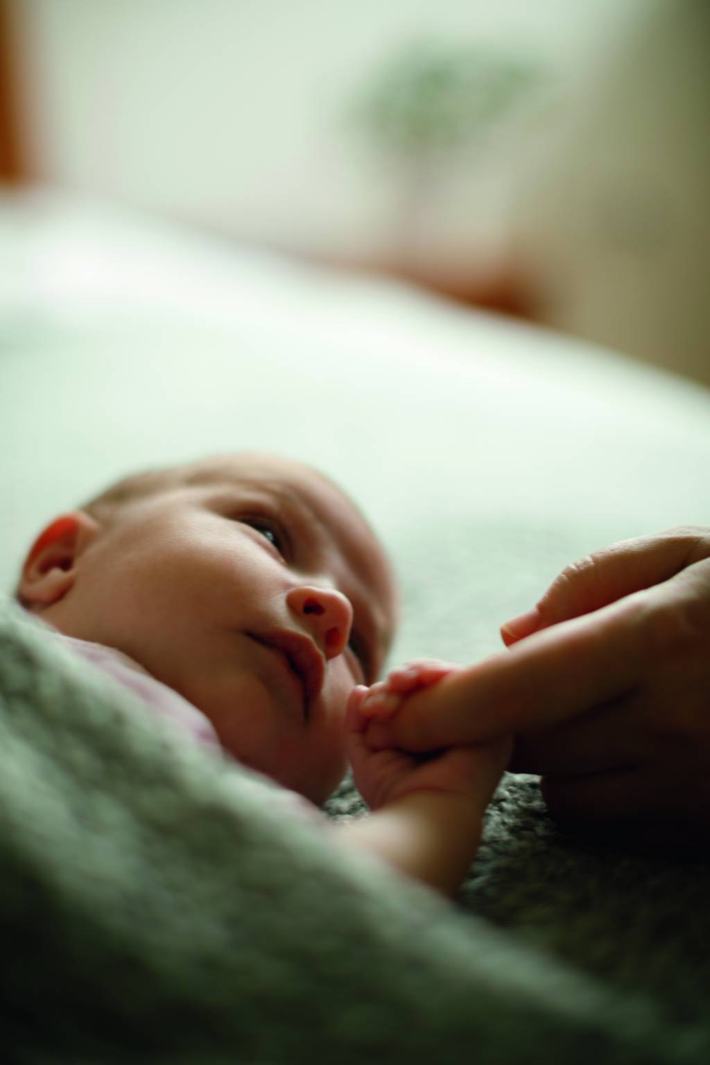 Bebê recém-nascido segurando a mão de sua mãe Bebê recém-nascido segurando a mão de sua mãe