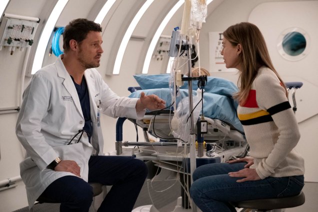 <strong>A Anatomia de Grey: Temporada 15 (estreia em 01/09):</strong> Meredith está pronta para o amor. Os médicos do Grey Sloan precisam encarar relacionamentos complicados, colegas novos e revelações.