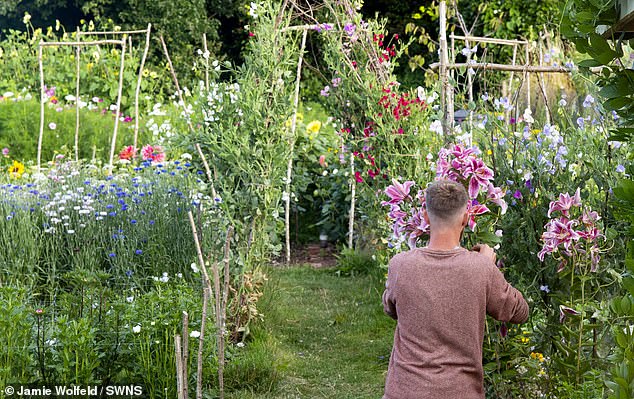 Tyler e Aimee Morrison dedicaram horas por dia ao cultivo das flores