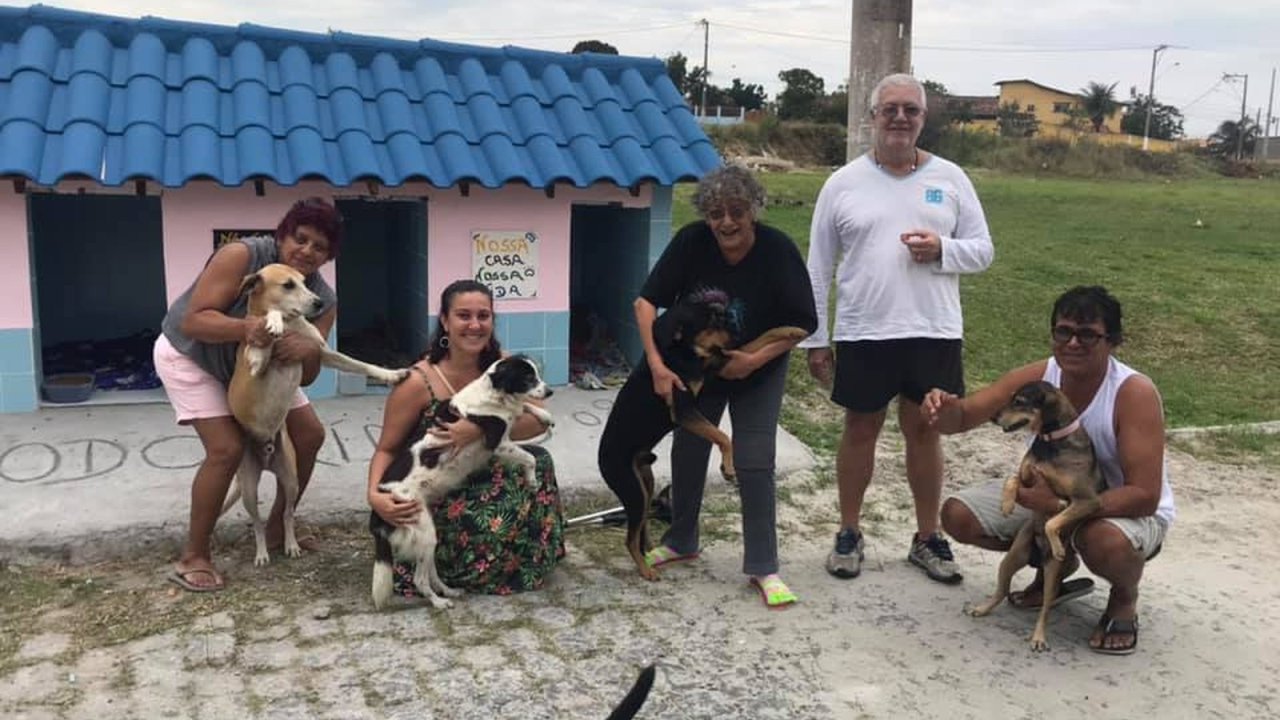 Moradores criam "cãodomínio" para cachorros de rua
