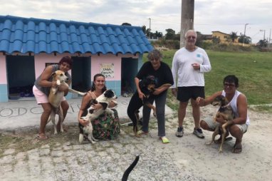Moradores criam cãodomínio para cachorros de rua