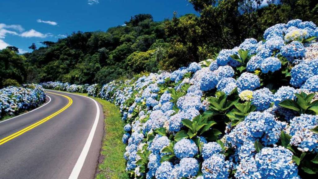 Gramado-RS Gramado - RS