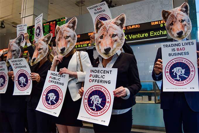 Califórnia proíbe venda de produtos com pele animal