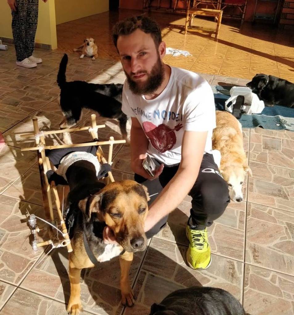 Lucas e Faísca Lucas e Faísca