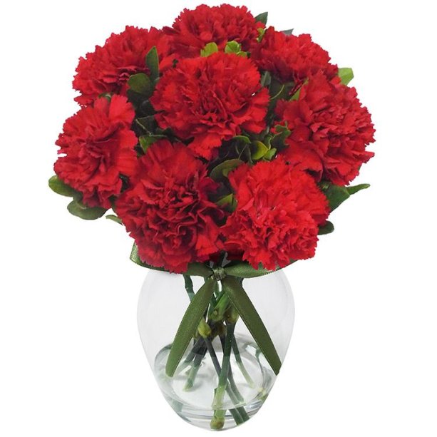 Arranjo de cravos vermelhos em vaso de vidro, nas medidas 6 x 10 cm. <a href="https://www.giulianaflores.com.br/poema-de-cravos-vermelhos/p20426/?src=cross_sell_produtos_semelhantes" target="_blank" rel="noopener">Giuliana Flores</a>, R$ 131,50