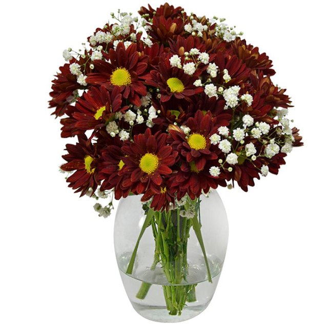 Arranjo de flores silvestres em vaso de vidro, nas medidas 10 x 20 cm. <a href="https://www.giulianaflores.com.br/delicado-mix-de-flores-silvestres-vermelho/p28454/?partner=google_shopping&gclid=EAIaIQobChMIrKDkmJL44QIVyAiRCh1uXwwREAkYAiABEgLGB_D_BwE" target="_blank" rel="noopener">Giuliana Flores</a>, R$ 87,80
