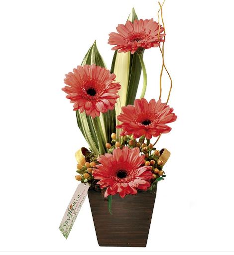 Arranjo de quatro gérberas em tons rosados em um vaso de madeira com 40 cm de altura. <a href="https://www.uniflores.com.br/arranjo-poesia-com-gerberas" target="_blank" rel="noopener">UniFlores</a>, R$ 113,80