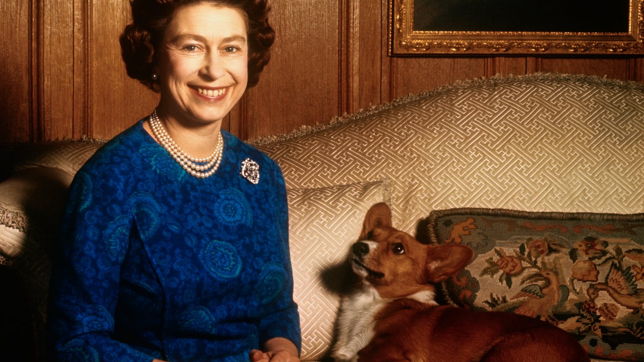 Rainha Elizabeth com seu pet