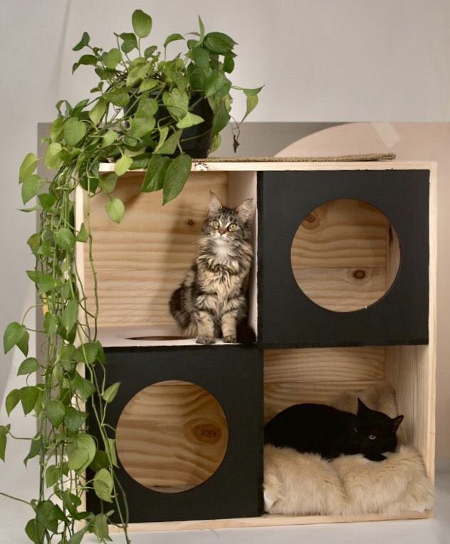 Estante Labirinto, de madeira pínus, nas medidas de 1 x 0,40 x 1 m. <a href="https://www.gattedo.com.br/labirinto" target="_blank" rel="noopener">Gattedo</a>, R$ 389,90 Estante Labirinto, de madeira pínus, nas medidas de 1 x 0,40 x 1 m. <a href="https://www.gattedo.com.br/labirinto" target="_blank" rel="noopener">Gattedo</a>, R$ 389,90