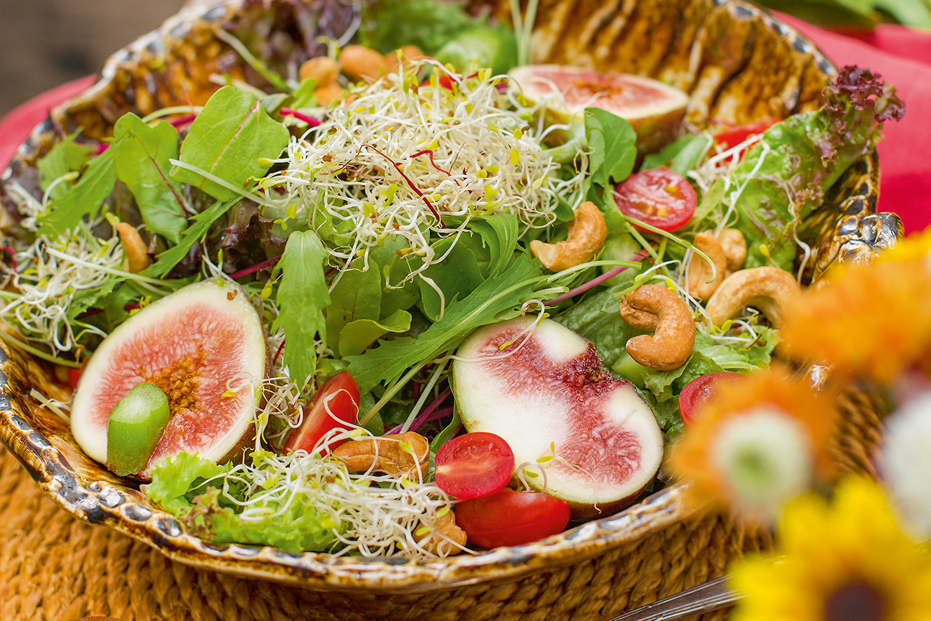 SALADA DE FOLHAS E BIRI-BIRI