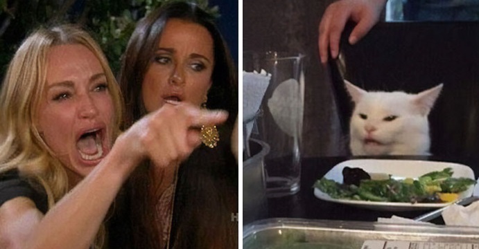 Conheça o Smudge, gatinho que viralizou nas redes sociais em 2019