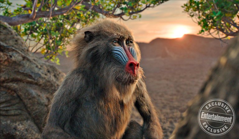 Rafiki em ‘O Rei Leão’ Rafiki em 'O Rei Leão'