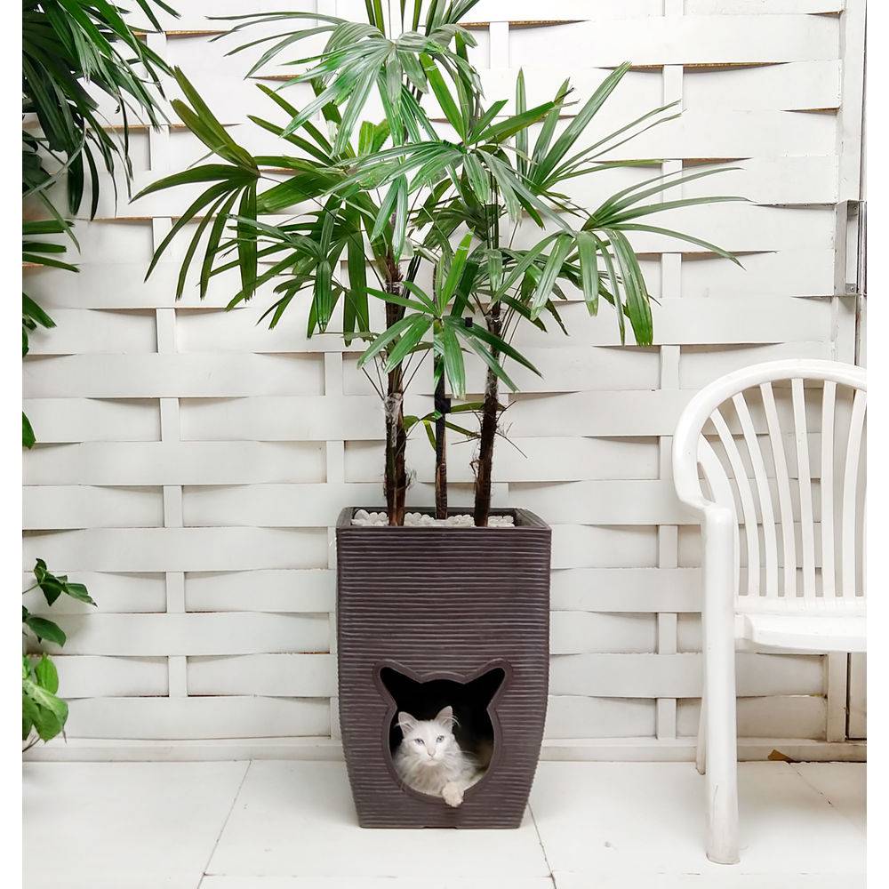 Vaso planta cat 16.-vaso-planta-cat