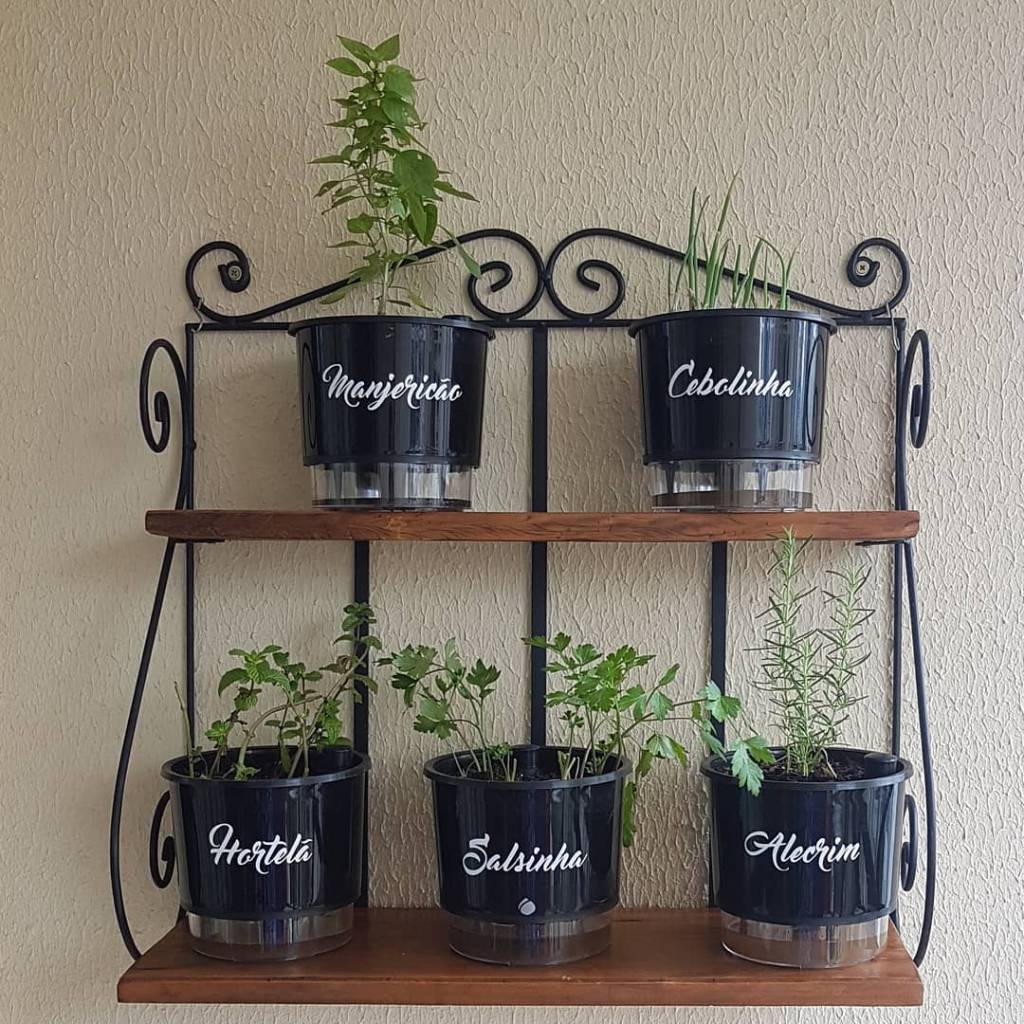 horta na varanda horta na varanda