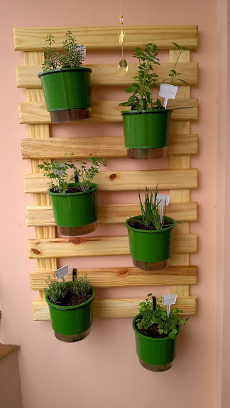 horta na varanda horta na varanda