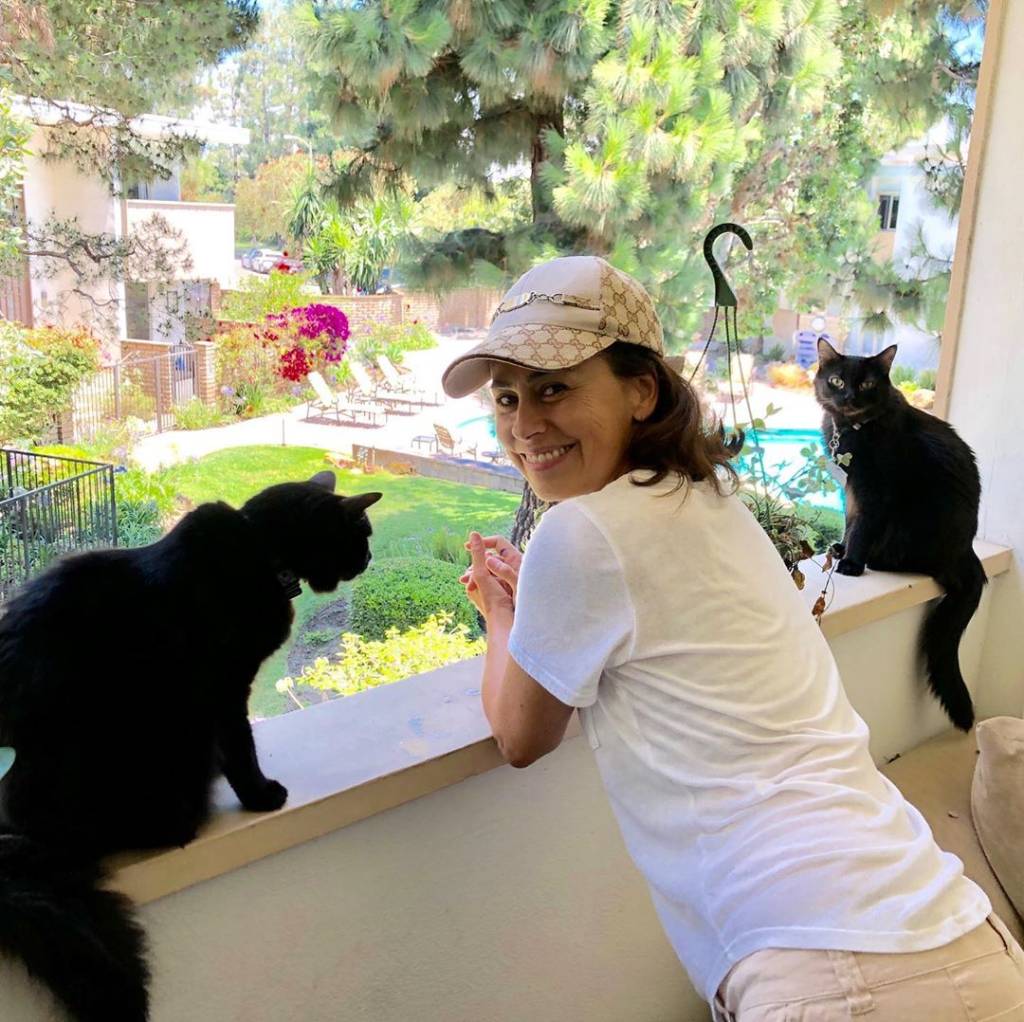 Entenda por que Daniela Escobar quase perdeu a mão por mordida de gato