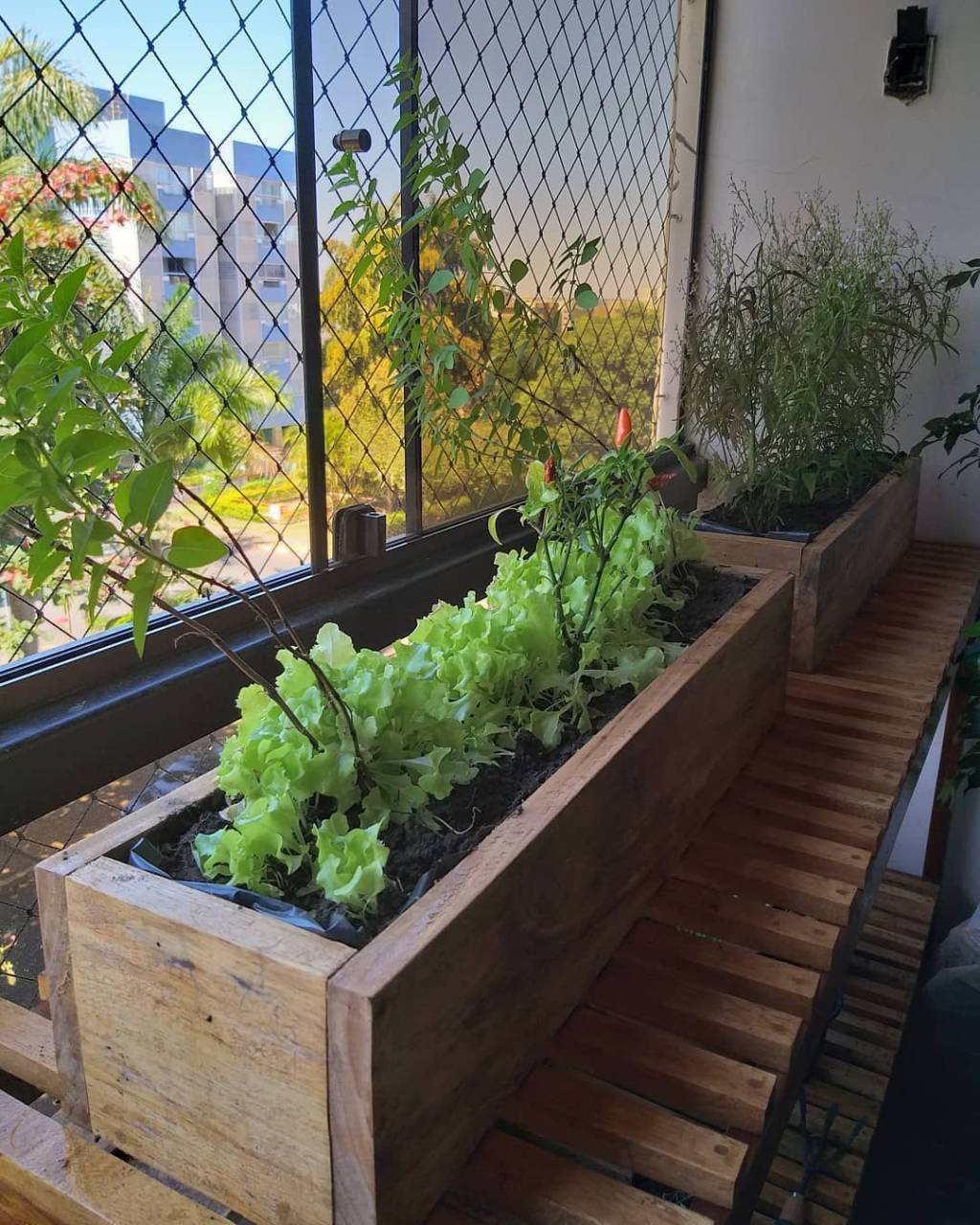 horta na varanda horta na varanda