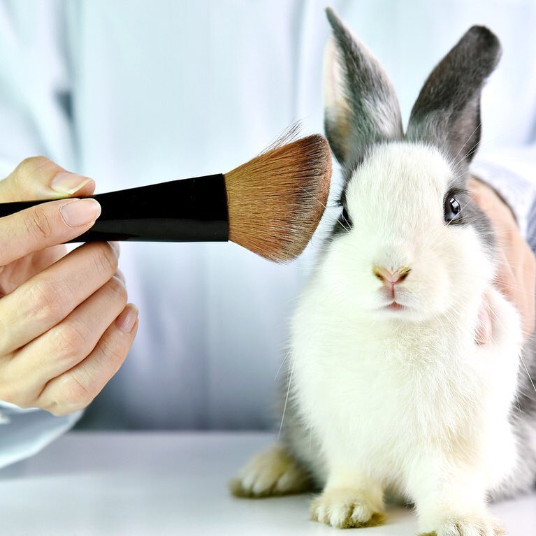 Cosméticos veganos, orgânicos, naturais e cruelty free: qual a diferença?