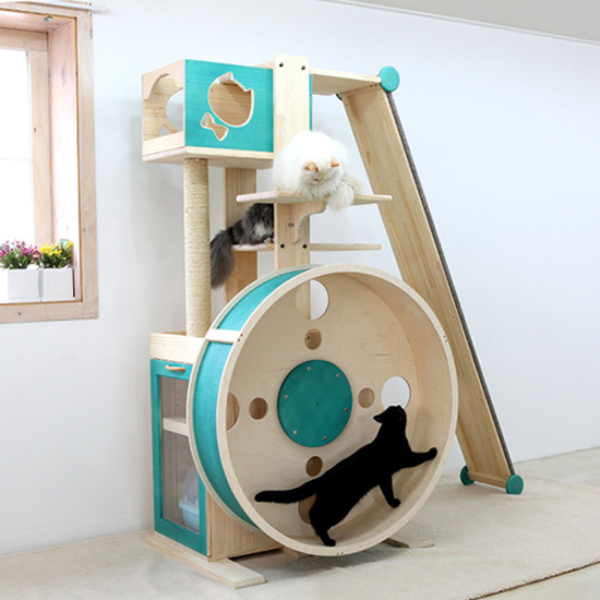 6. bicholandia cat 6.-bicholandia-cat