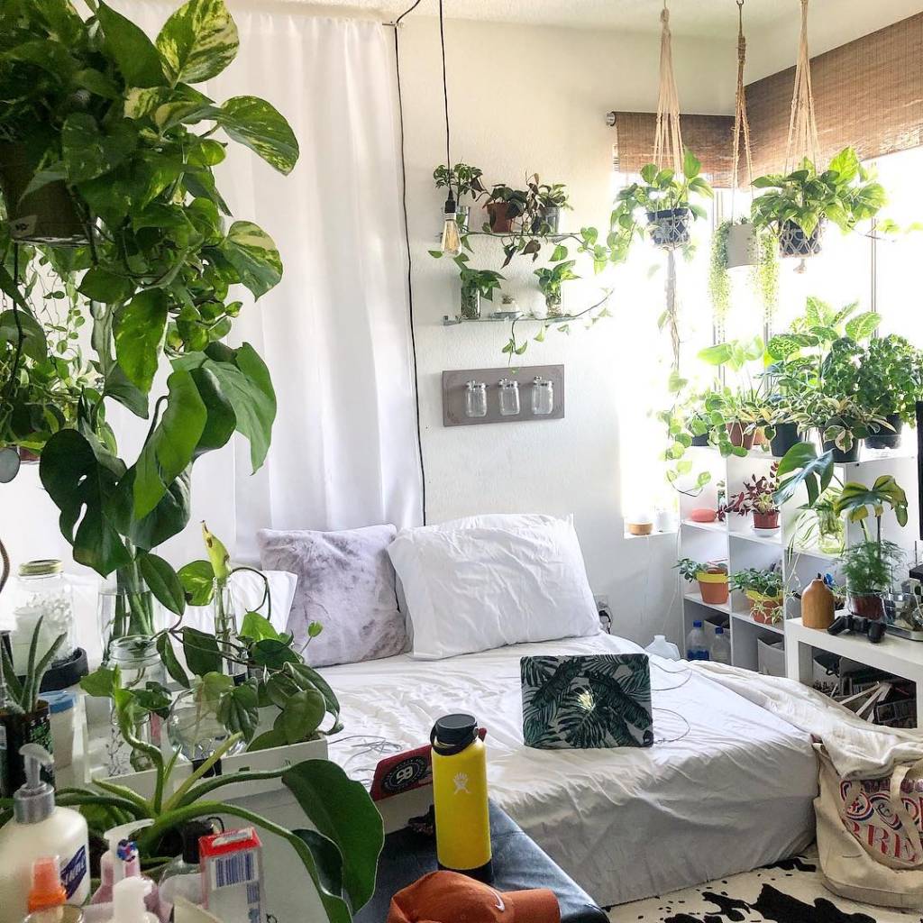 Urban jungle: confira dicas e inspirações para encher a casa de plantas