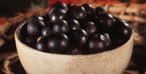 Açaí em pó Açaí em pó