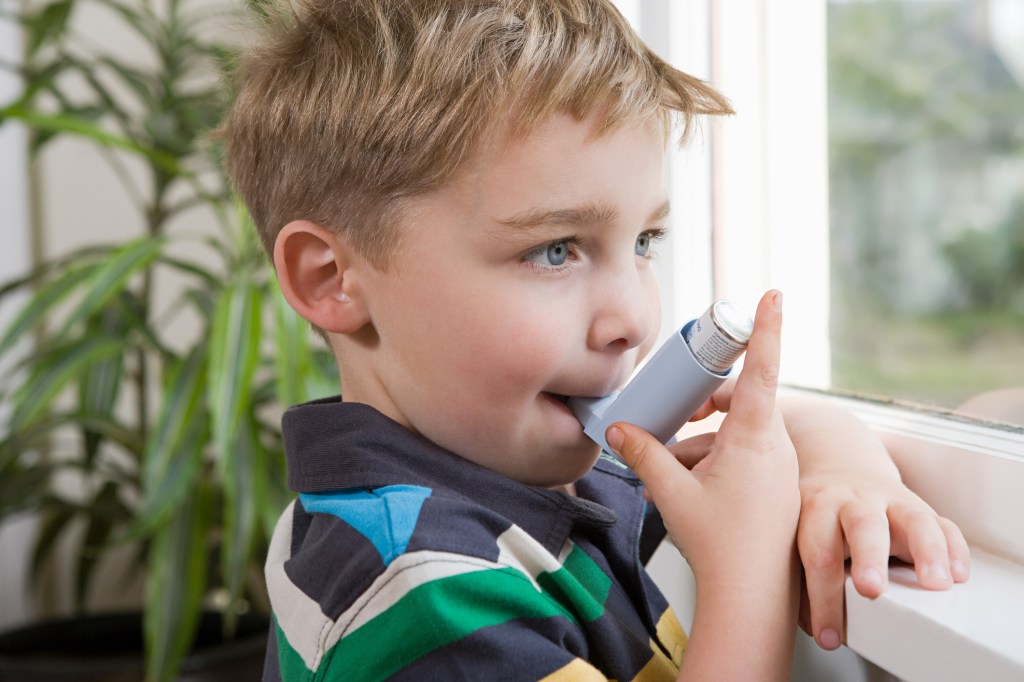 Alergias mais comuns da infância- asma