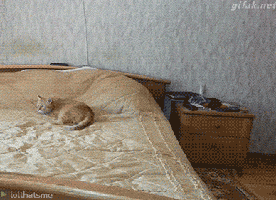 Reprodução/Giphy Reprodução/Giphy