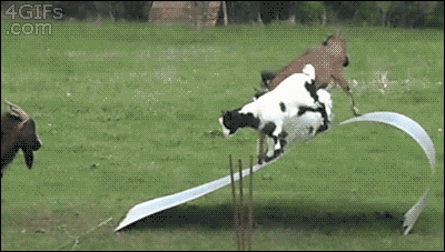 Reprodução/Giphy Reprodução/Giphy