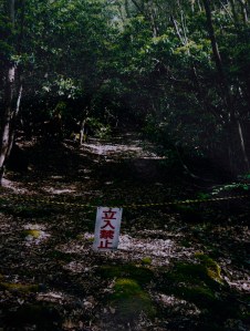 Aokigahara warning sign