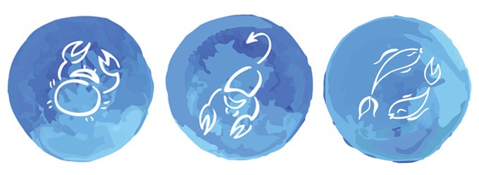 Eu desenhei o Amor entre dois Elementos dos Signos Zodiacais: Fogo e Água: 3  (processo de vídeo na descrição) : r/brasil