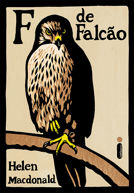 Divulgação Divulgação