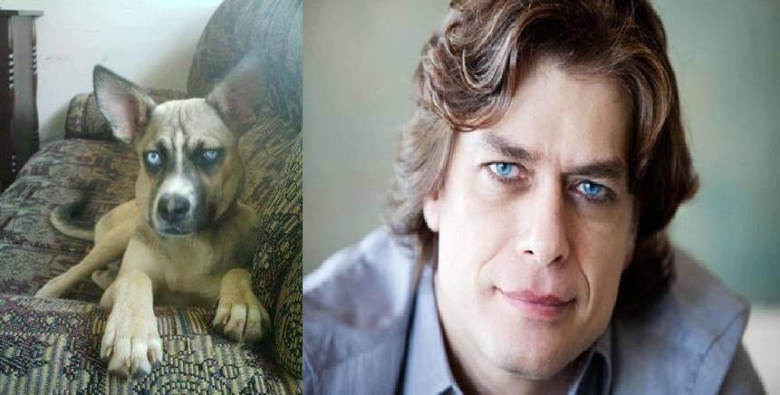 Depois de Mauricio Mattar, conheça o cachorro que é a cara do Fábio Assunção