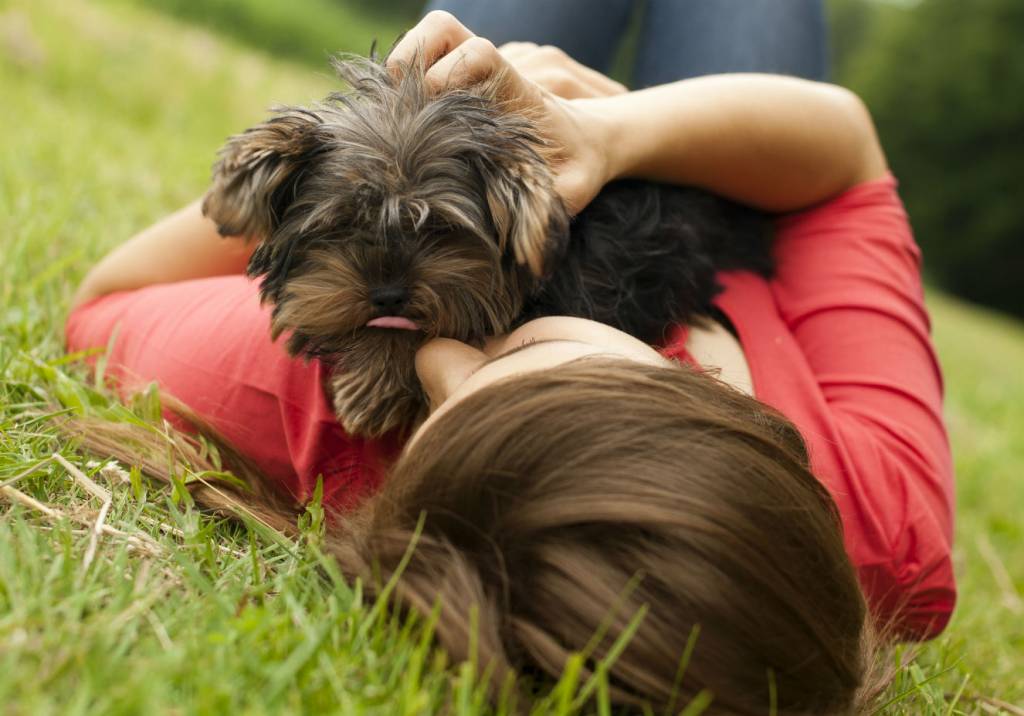 9 fatos que provam que seu cachorro te conhece melhor do que ninguém