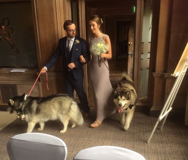 cachorros-casamento-2