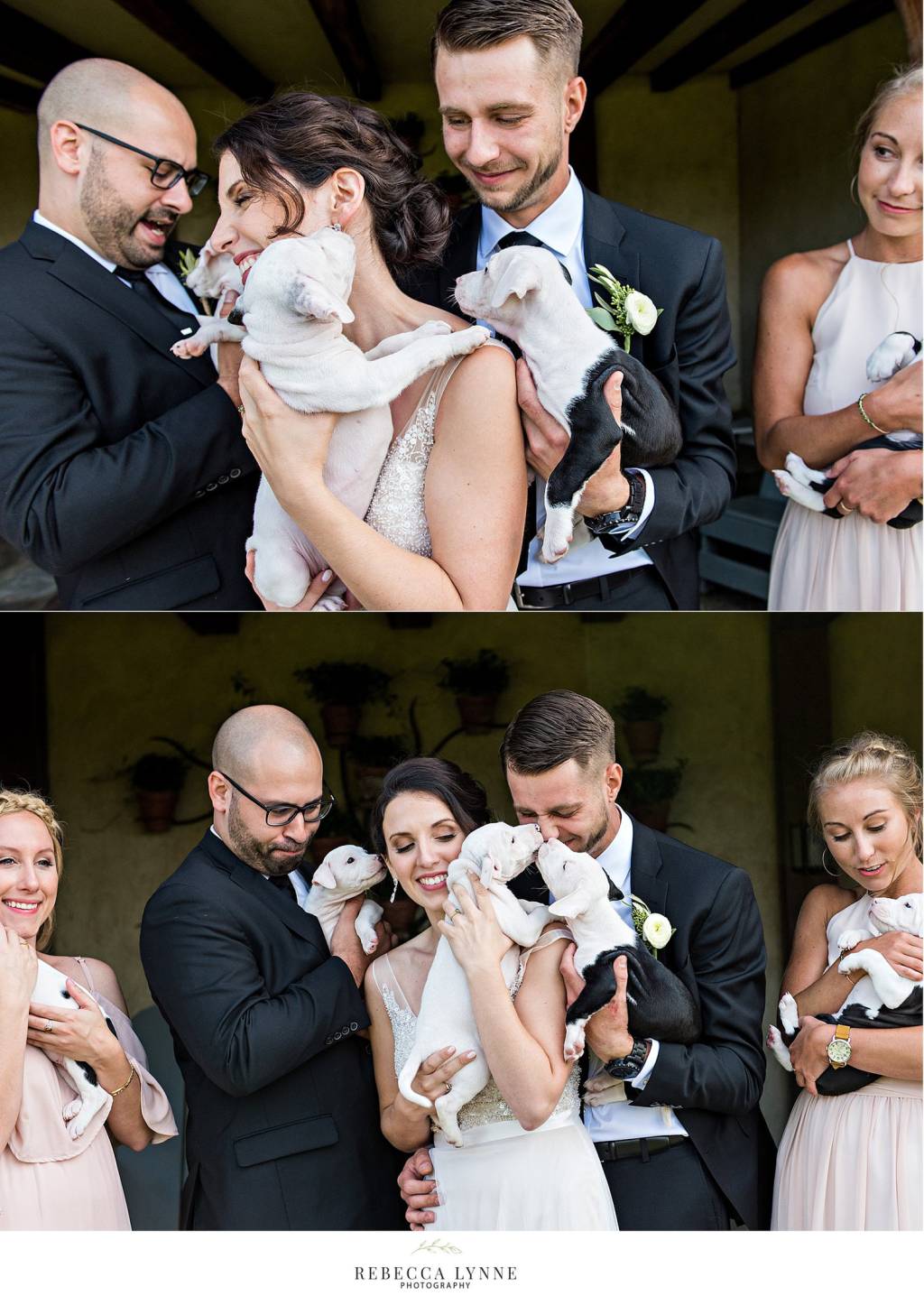 casamento-com-filhotes1