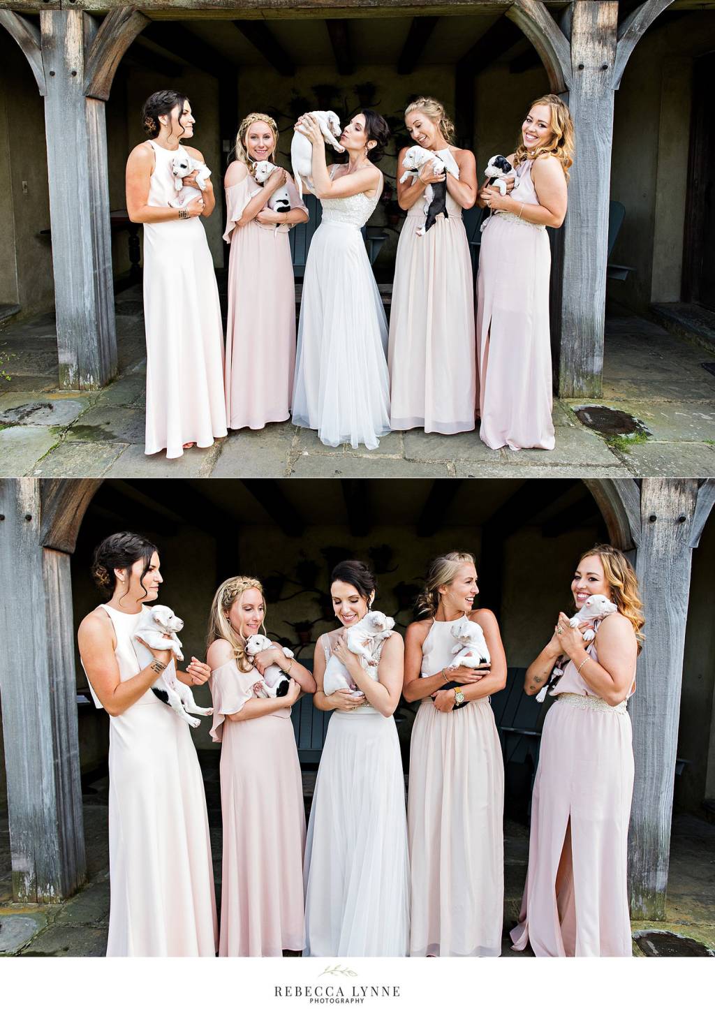 casamento-com-filhotes4