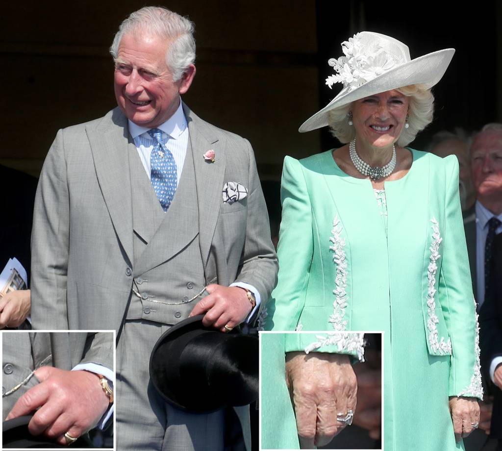Principe Charles sem Aliança Principe Charles sem Aliança
